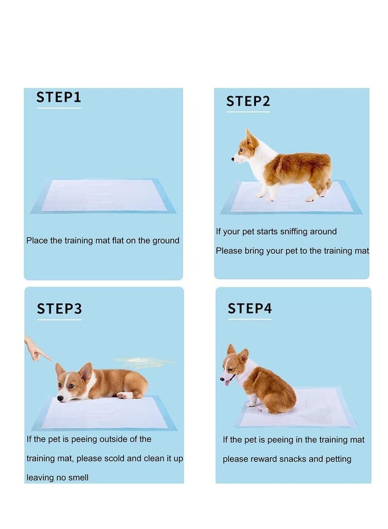 أن ان سي بيتس وسادات تدريب الحيوانات الأليفة على استخدام المرحاض، وسادات بول مانعة للتسرب من 5 طبقات للسلالات الكبيرة، مقاومة للتمزق والتحكم في الرائحة، 40 قطعة من وسادات البول عالية الامتصاص للاستخدام الداخلي، وسادة مريحة، 60 سم (أزرق) - Image 4