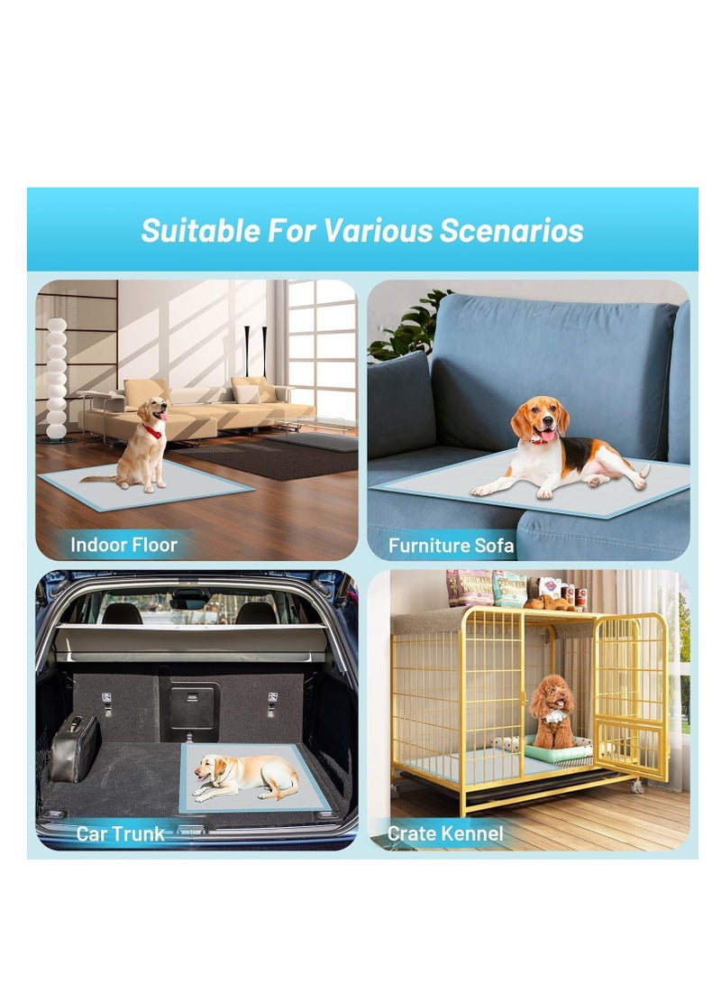 أن ان سي بيتس وسادات تدريب الحيوانات الأليفة على استخدام المرحاض، وسادات بول مانعة للتسرب من 5 طبقات للسلالات الكبيرة، مقاومة للتمزق والتحكم في الرائحة، 40 قطعة من وسادات البول عالية الامتصاص للاستخدام الداخلي، وسادة مريحة، 60 سم (أزرق) - Image 5