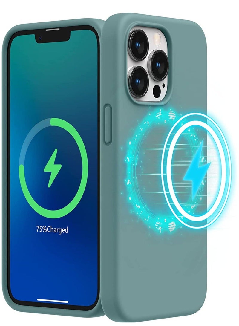 راكسوم جراب مغناطيسي مصمم لهاتف iPhone 13 Pro (إصدار 2021 بشاشة 6.1 بوصة)، مع بطانة من الألياف الدقيقة، جراب هاتف من السيليكون السائل لهاتف iPhone 13 Pro (لون أخضر الصبار) - Image 1