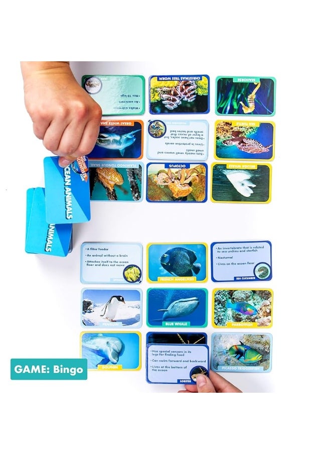 The Young Scientists Club - The Young Scientist Ocean Animal Card Games, 4 Card Games in 1, Matching, Bingo, Memory, Trivia, Hands-On Educational STEM Fun for Age 5 and Up, Kids Card Games - Image 1