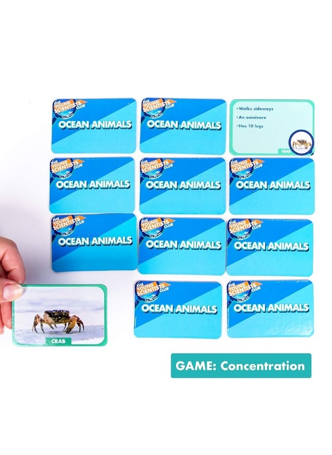 The Young Scientists Club - The Young Scientist Ocean Animal Card Games, 4 Card Games in 1, Matching, Bingo, Memory, Trivia, Hands-On Educational STEM Fun for Age 5 and Up, Kids Card Games - Image 1