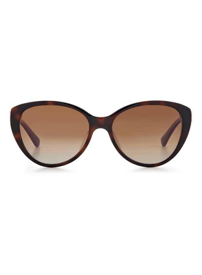 Kate Spade Wayfarers Sunglasses - Image 1
