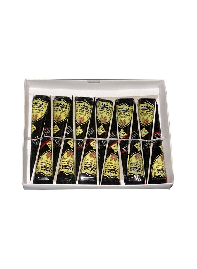 Amina Henna Instant Tatto Outline Mehendi/No Chemicals Dyes Color Paste Cone (Black,12 Piece) (Black) - Image 1