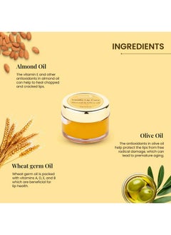 MELLOW Herbals Ayurvedic Vanilla Lip Cure (12Gm) For Dry & Chapped Lips | Soft & Moisturised Lips With Almond, Wheat Germ & Olive Oil | Ayush Certified | Gmo, Paraben And Silicone Free  - Image 2