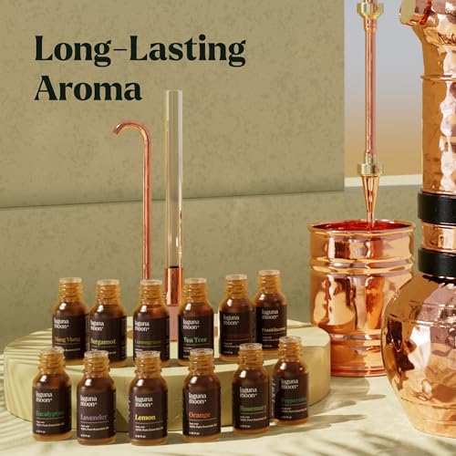 Lagunamoon Essential Oils Set 12 Piece Premium Grade Home Essentials Oils for Diffusers Fragrance Scents for Candle Making Natural Aromatherapy Oils for Cars Home Products Room Sprays - Image 5