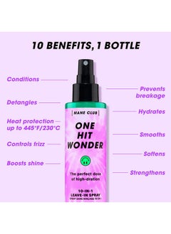 MANE CLUB MANE CLUB One Hit Wonder 10-in-1 Leave-In Spray, cruelty free, vegan, no sulfates or parabens, 5.3 Oz  - Image 2