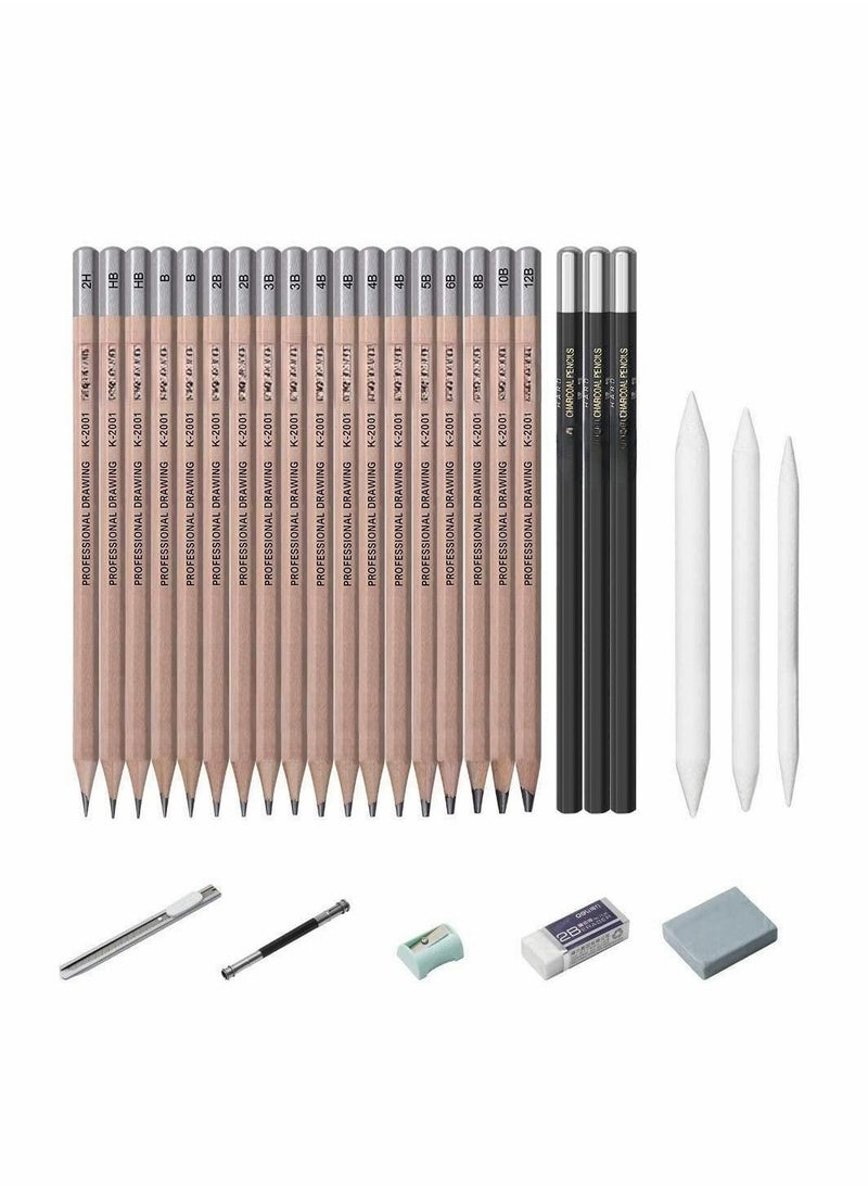 Y&D - Sketching Pencil Set, Drawing Pencils and Sketch Kit, 30-Piece Complete Artist Kit Includes Graphite Pencils, Charcoal Paper Erasable Pen, Set for - Image 1