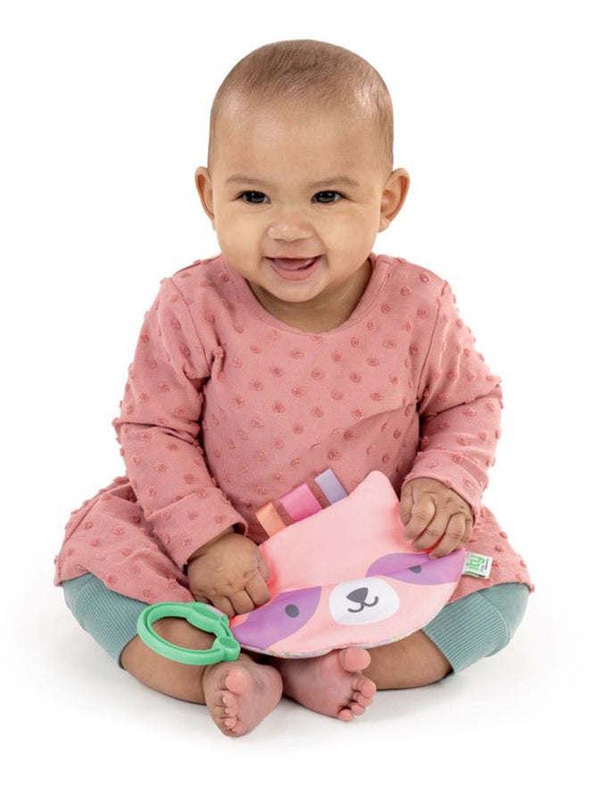 ingenuity - Ingenuity - ity by Ingenuity Crinklet, Raccoon Crinkle Toy, Satin Ribbon Tags, C-Link Attachment, Newborn and Up, Unisex - Deni - Image 1