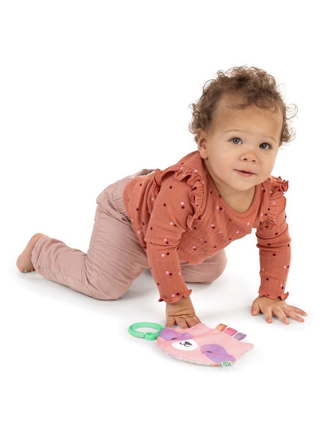 ingenuity - Ingenuity - ity by Ingenuity Crinklet, Raccoon Crinkle Toy, Satin Ribbon Tags, C-Link Attachment, Newborn and Up, Unisex - Deni - Image 1