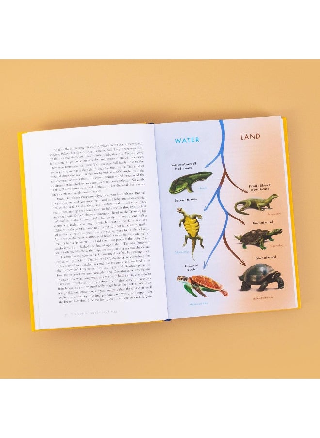Apollo The Genetic Book of the Dead  - Image 1