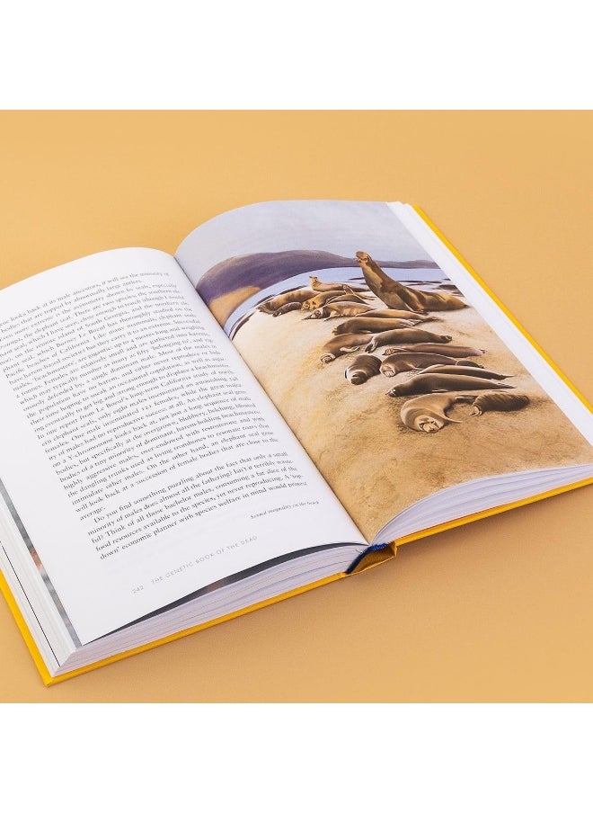 Apollo The Genetic Book of the Dead  - Image 3