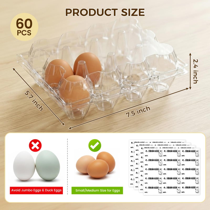 HAKSEN 60 PCS 12 Count Plastic Egg Cartons, with 60PCS Date Labels, Clear Reusable Egg Containers Holds for Fresh Medium Eggs Storage, Suitable for Farms, Family, Markets Display - Image 2