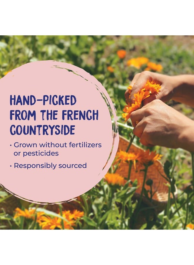 Boiron جل الكالندولا لتخفيف الطفح الجلدي، تهيجات الجلد، حروق الحلاقة، أو لدغات الحشرات - غير دهني وخالي من العطور - 2.6 أونصة - Image 5