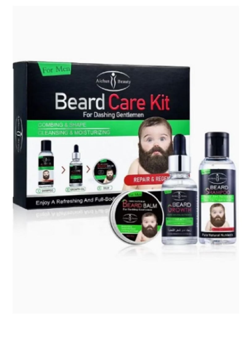 Men's Beard Kit - pzsku/Z40AE953CEA0FE89A7F89Z/45/_/1698334551/31404287-e70b-4de9-ac89-5356b416da87