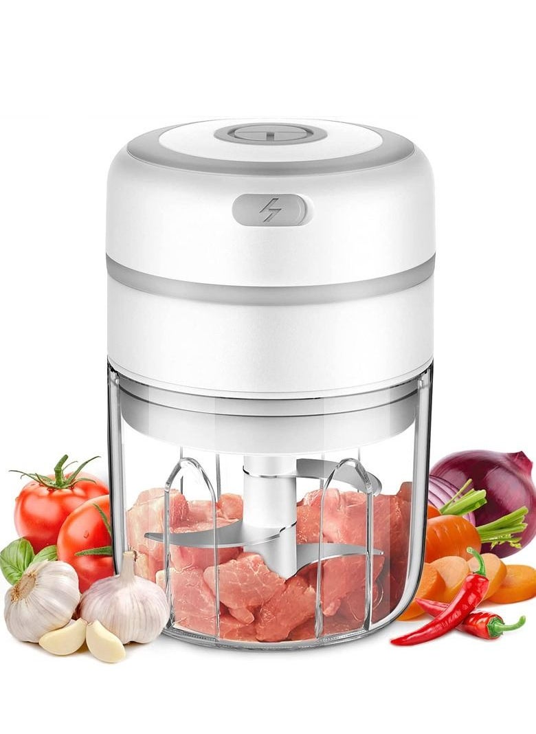 Mi VAZA Electric Mini Garlic Chopper, Slicer Blender To Meat/Vegetables/Chopped Fruit/Onion Wireless Portable Food Processor 250ml  - Image 1