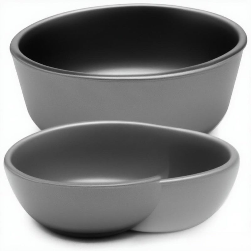 Lightweight Titanium Camping Bowl - 2pcs 550ml Durable Odor-Free Portable Bowl for Outdoor Camping Picnic Travel - Image 1