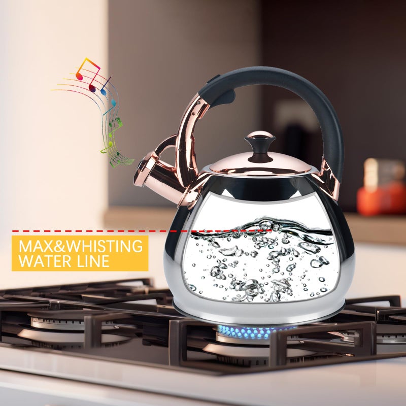 Lazneyru Tea Kettle Stovetop Whistling Kettle Teapot, 3Quart Tea Pot Stainless Steel Teakettle for Stove Top with Heat Proof Ergonomic Handle - Image 3