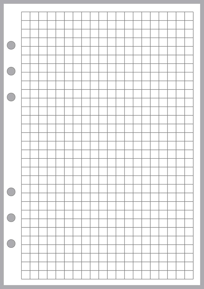 Handy Forms A5 Size Graph Paper Refill, Sized and Punched 6-Ring A5 Notebooks by Filofax, LV (GM), Kikki K, TMI, and Others. Sheet Size 5.83" x 8.27" (148mm x 210mm) - Image 1
