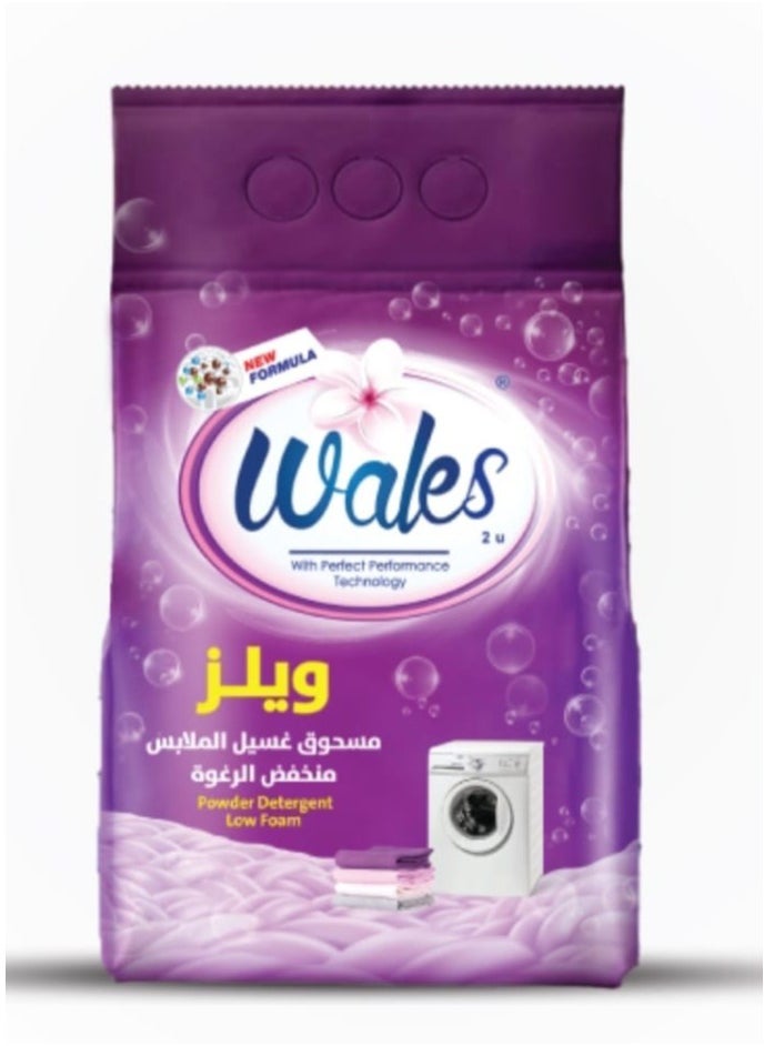 Wales Wales Low Foam Powder 2.5kg 