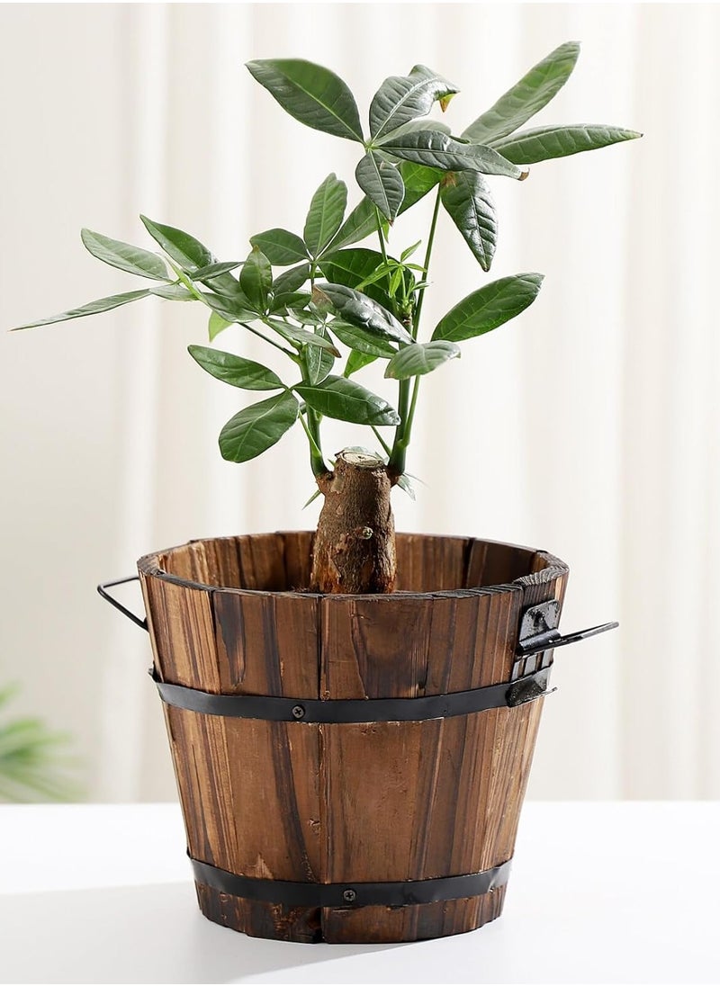 HOME TASTE TOMSUN Wooden Plants Pot with Handle Bucket Design Wood Planter Flowers Planter Box Round Shape  - Image 5