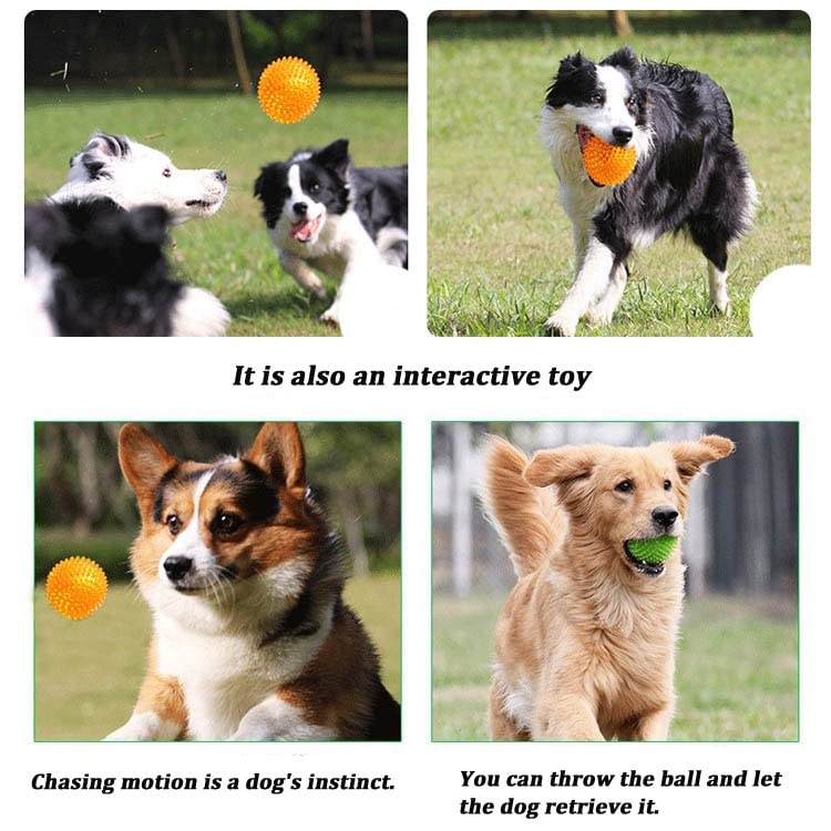 SSKR Pack of 2 Whistle Pee-Pee Sound Squeaky Sound Ball for Puppy, Dog & Cat, Pet Chew Playing Rubber Spiked Ball Toy, Puppy Teething | Multicolor - Image 3