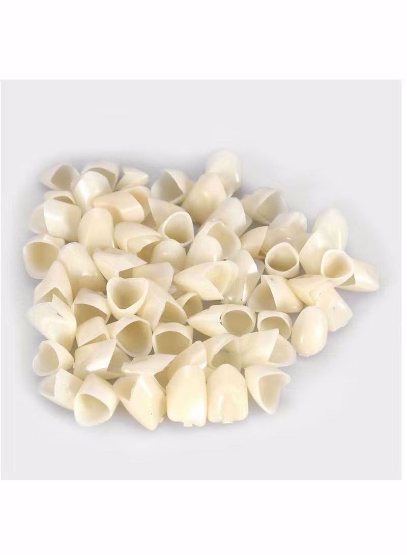 2 Pack Resin Denture False Teeth Crown Resin Denture For Patients With Oral Cavity Loss Temporary Resistible Crown of Teeth with Different Sizes Oral Care Anterior Crown Front Posterior Teeth