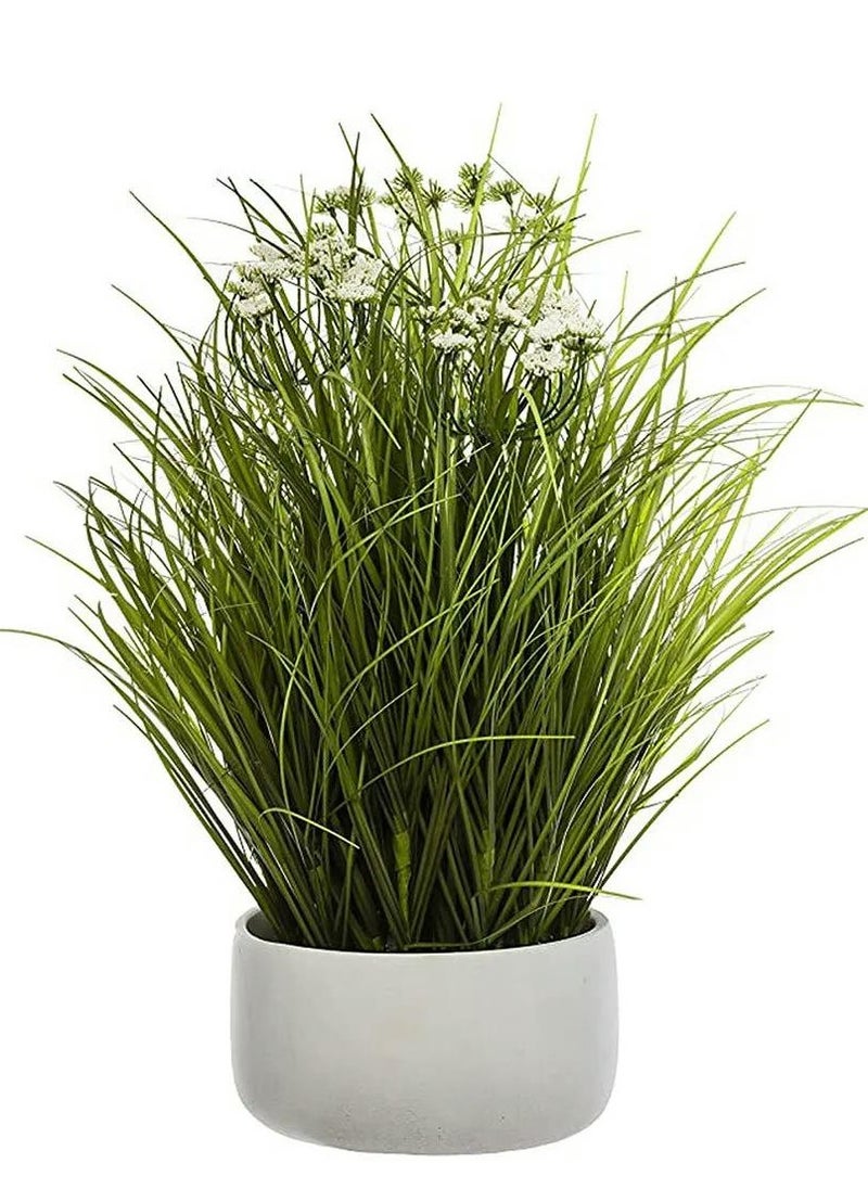 لوفت - باقة العشب،D50XH46.5CMS،أخضر،أسمنت-168584 - Image 1