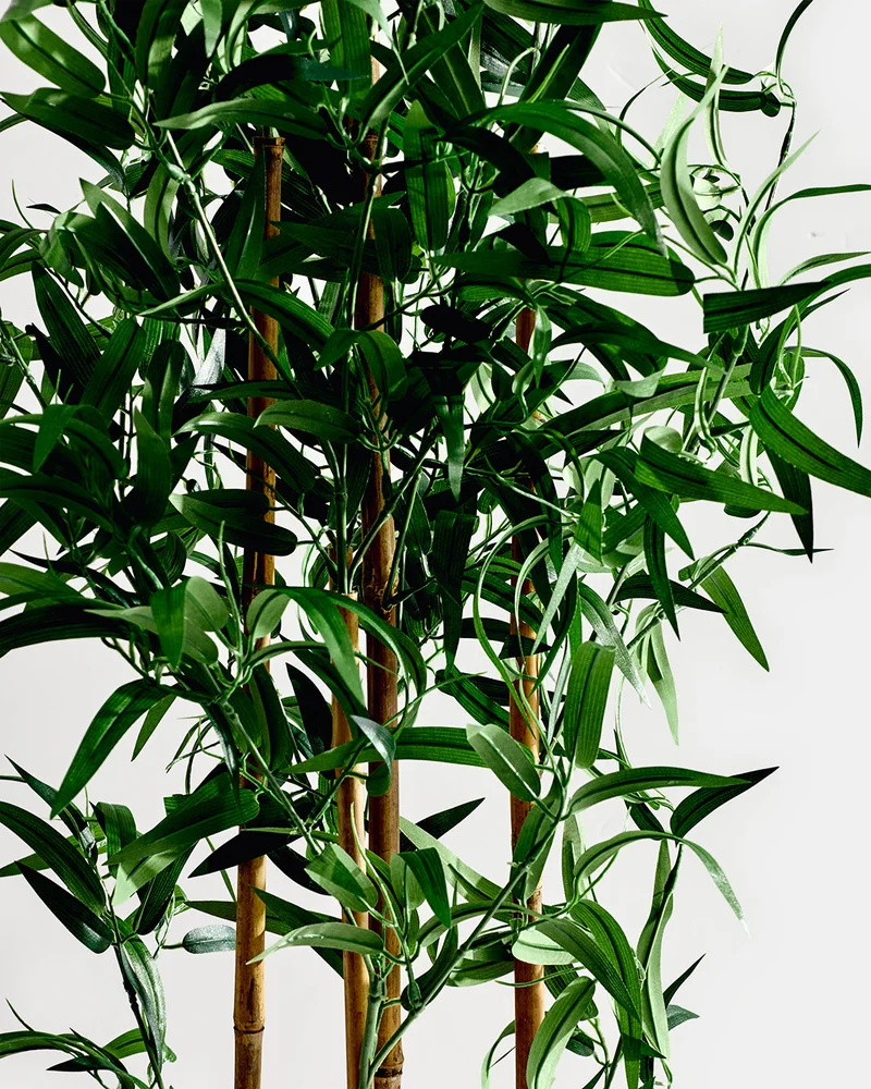 Redtag Artificial Bamboo Plant in Ceramic Pot 150cm