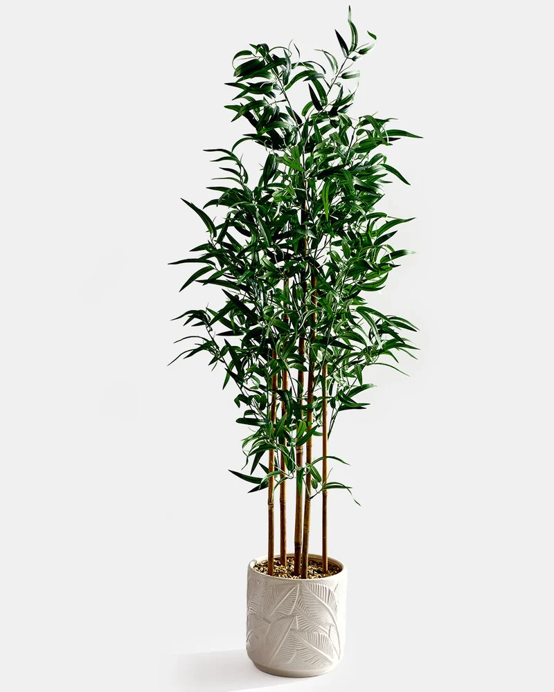 Redtag Artificial Bamboo Plant in Ceramic Pot 150cm