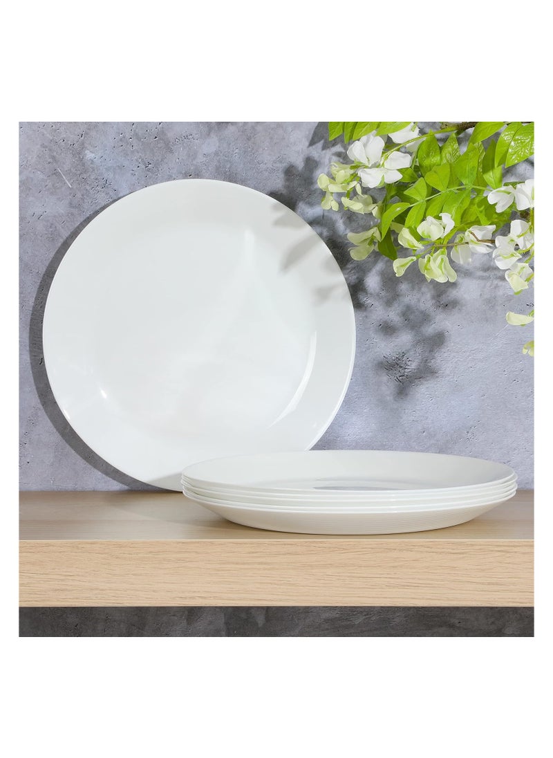 Generic Flat Plate  6 Pieces 25 cm  - Image 1