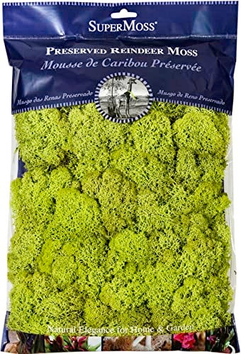 SuperMoss Super Moss 21669 Reindeer Moss Preserved, Chartreuse, 8oz (200 cubic inch) - Image 5