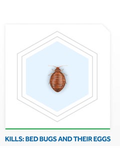 RAID Raid Bed Bug Foaming Spray, Kills Bed Bugs and Their Eggs, for Indoor Use, Non-Staining, Keeps Killing for Weeks, 16.5 oz  - Image 5