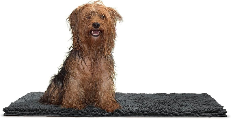 30" x 21" Highly Absorbent Dog Door Mat for Muddy Paws, 100% Washable, Perfect for Entryway, Kitchen, & Bathroom Use - Chenille Shammy Rug - Charcoal (Gray), Medium - Image 1