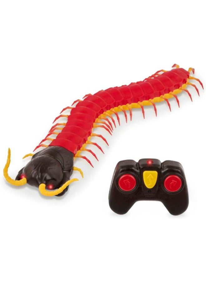 Terra Remote Control Centipede – Giant Scolopendra With Led Eyes  - Image 1