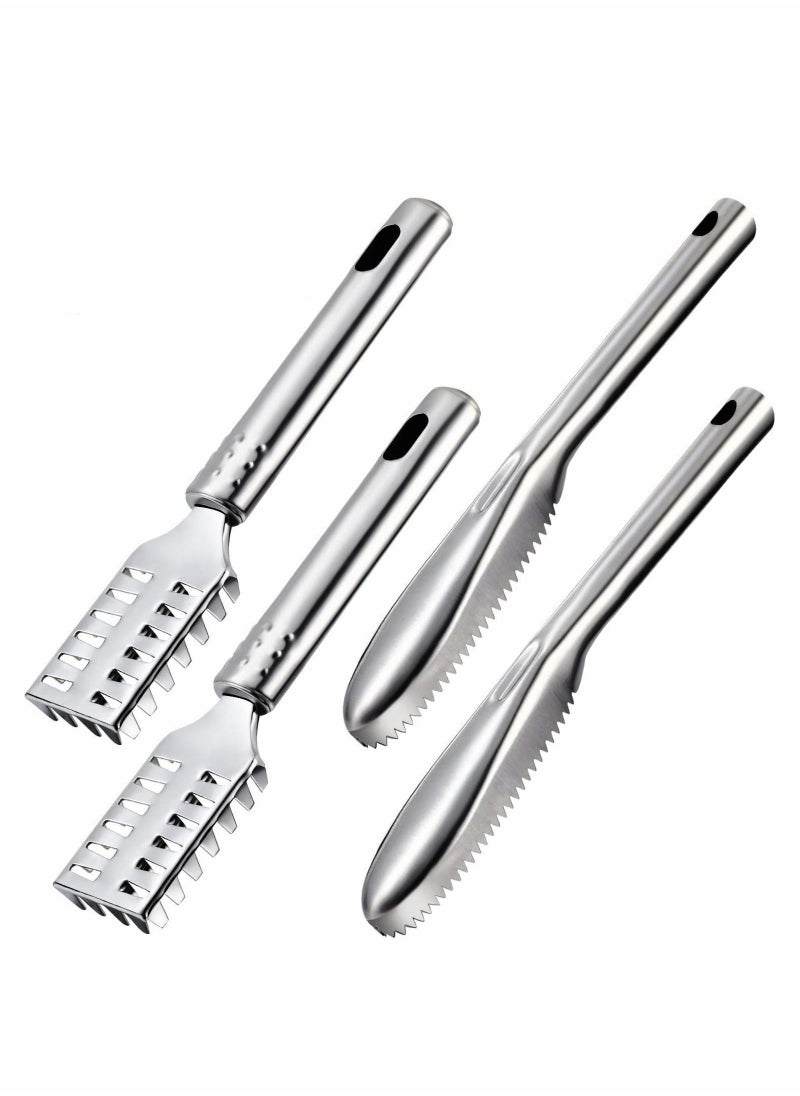 Y&D Fish Scaler Brush Remover with Stainless Steel Sawtooth Easily Remove Scales-Cleaning Scraper Kitchen Tool Scale 4 Pcs  - Image 1