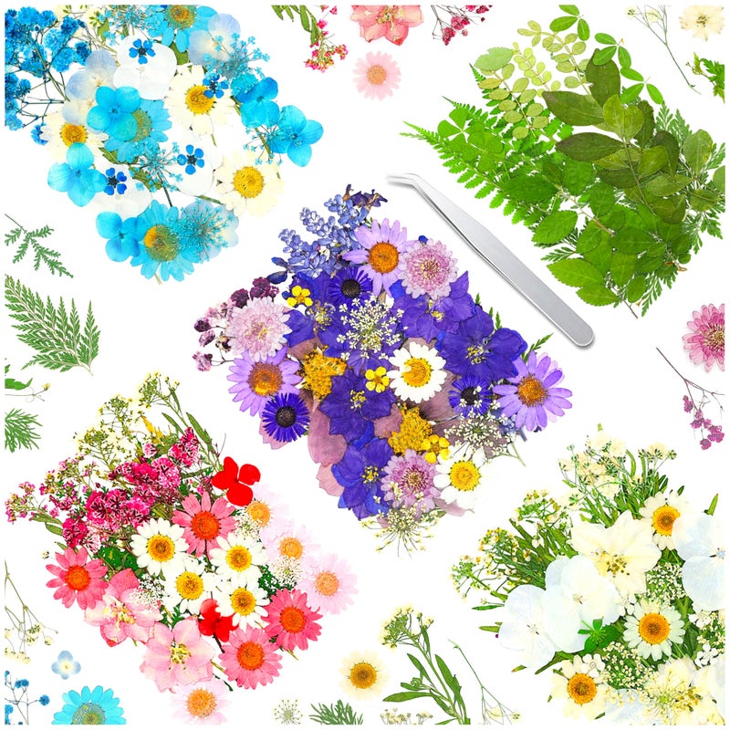 170Pcs Real Dried Pressed Flowers Leaves Petals for CraftsBeautiful Pressed Flowers Daisies for Resin Jewellery Pressed Flowers Nail Pendant Crafts Making Craft DIY Accessories with 1pcs Tweezers