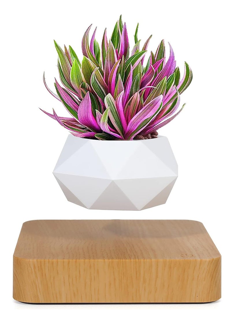 Generic Levitating Air Bonsai Pot, Rotation Flower Pot Planters, Magnetic Levitation Suspension Floating Pot, Potted Plant Home Desk Decor in Flower Pots & Planters from Home & Garden  - Image 1