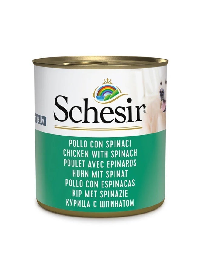 Schesir pack of 16 Dog Wet Food in Jelly Can-Chicken With Spinach 16x285g - Image 2