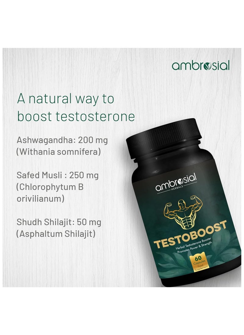 أمبروسيال Testoboost العشبية التيستوستيرون الداعم يعزز القوة والقوة، حزمة من 2  - Image 2