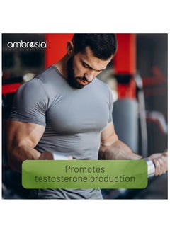 ambrosial Testoboost Herbal Testosterone Booster Promotes Power And Strength Pack Of 2  - Image 3
