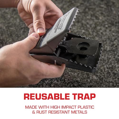 Tomcat Rat Snap Trap, 1 Rat Size Trap - Reusable - Effectively Kill Rats - Ideal for Home and Farm Use - Image 5