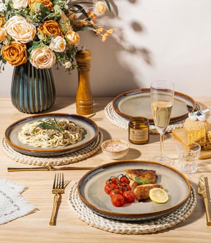 theterra Dinner Plates Set of 6, 10.25 Inch Ceramic Dinner Plates, Stoneware Dinnerware for Kitchen, Oven & Microwave & Dishwasher Safe, Coffee Bean - Image 3