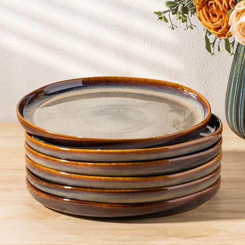 theterra Dinner Plates Set of 6, 10.25 Inch Ceramic Dinner Plates, Stoneware Dinnerware for Kitchen, Oven & Microwave & Dishwasher Safe, Coffee Bean - Image 1