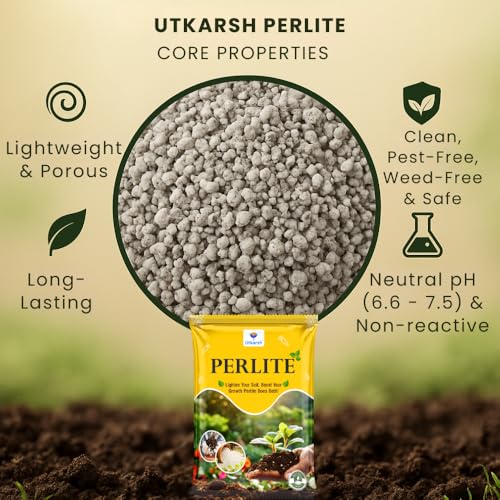 Utkarsh Perlite for Plants Growth, Home Terrace Garden, Indoor & Outdoor Plants, Hydroponics & Horticulture, Conditioner for Potting Soil Mix, Enhances Drainage & Aeration (500 gm; Pack of 1) - Image 3