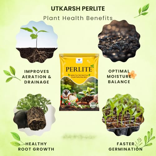 Utkarsh Perlite for Plants Growth, Home Terrace Garden, Indoor & Outdoor Plants, Hydroponics & Horticulture, Conditioner for Potting Soil Mix, Enhances Drainage & Aeration (500 gm; Pack of 1) - Image 4