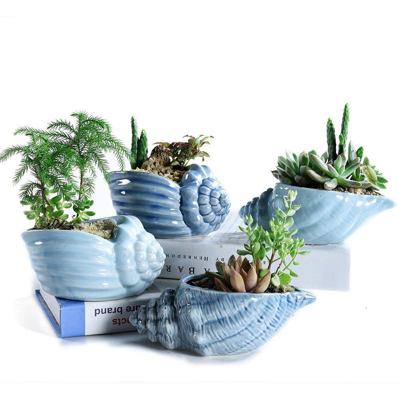 Bonsai Pots 55 Inch Blue Conch Ocean Series Ceramic Base Serial Set Succulent Plant Pot Cactus Plant Pot Flower Pot Container Planter With Drainage Hole Gift Idea 4 In SetPlants Not Included