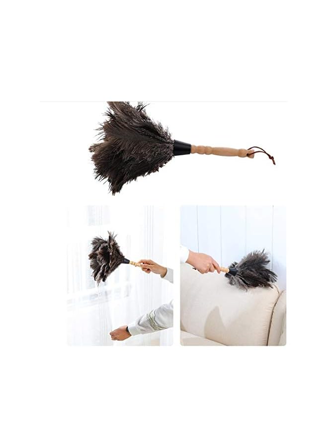 PROMASS Feather Duster with Protective Cover Anti Static Flexible Bendable for Dust Cleaning, Interior Roof, Ceiling Fan - Image 5
