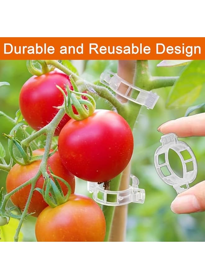 مشابك نباتات محكمة التثبيت من البلاستيك، مشابك لتعريشة الطماطم وتثبيت النباتات المتسلقة ولدعم النباتات، أداة تعليق النباتات لمستلزمات البستنة والكرمة50 قطعه - Image 2