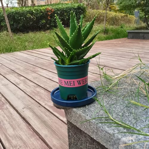 Fzfeiyy Ceramic Plant Saucer 5 Inch, 2 Pack Round Plant Saucers for Indoors/Outdoors, Flower Pot Saucers for Holding Water Drips and Soil, Ceramic Drainage Tray for Plant Pot (Blue) - Image 4