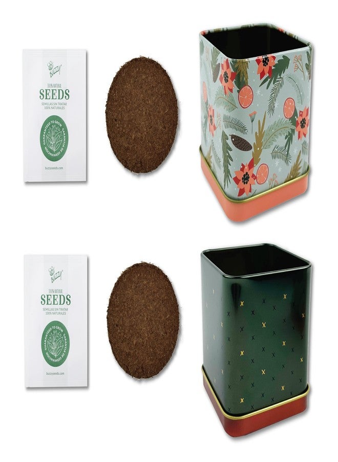 BUZZY Seeds Holiday Spruce and Mint 2-Pack Square Tin Grow Kit | Guaranteed to Grow | Best Indoor-Outdoor, Favors for Events, Parties | Grow Your Own Herb Starter Kit for Kids & Adults - Image 4